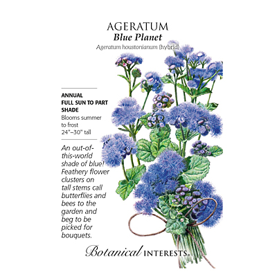 Seeds - BI Ageratum Blue Planet
