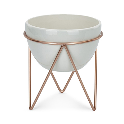Bowl in Stand