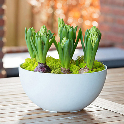 Novelty ArtStone Bowl - White