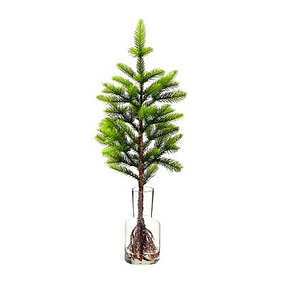Pine Branch in Glass Vase - Green
