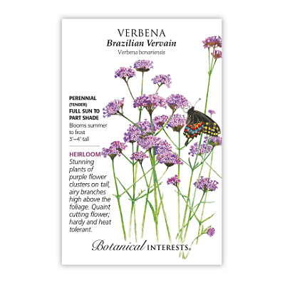 Seeds - BI Verbena Brazilian Vervain
