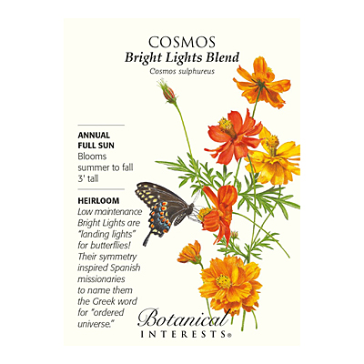 Seeds - BI Cosmos Bright Lights Blend