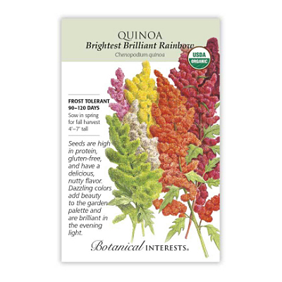 Seeds - BI Quinoa Brightest Rainbow Org