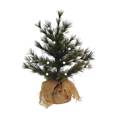 Bristle Pine Tree with Burlap Bag
