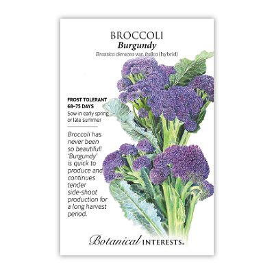 Seeds - BI Broccoli Burgundy
