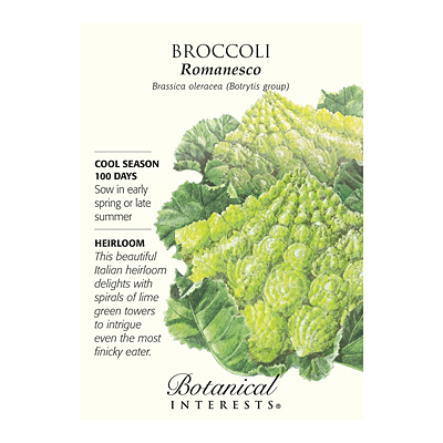 Seeds - BI Cauliflower Romanesco