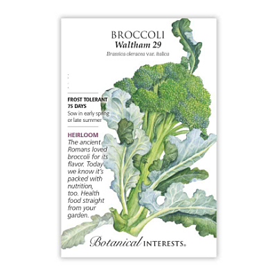Seeds - BI Broccoli Waltham 29