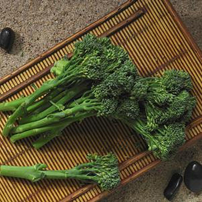 Broccolini 'Aspabroc'