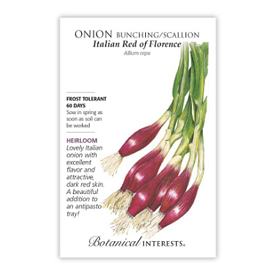 Seeds - BI Onion Bunching Italian Red