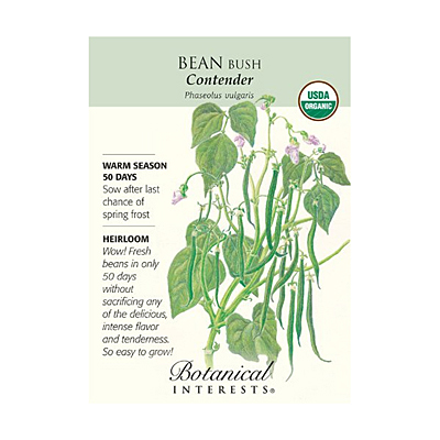 Seeds - BI Bean Bush Contender Org