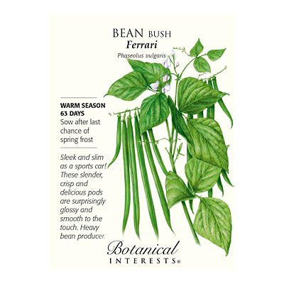 Seeds - BI Bean Bush Ferrari