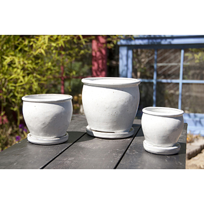 Planter - Buttercup White Spots