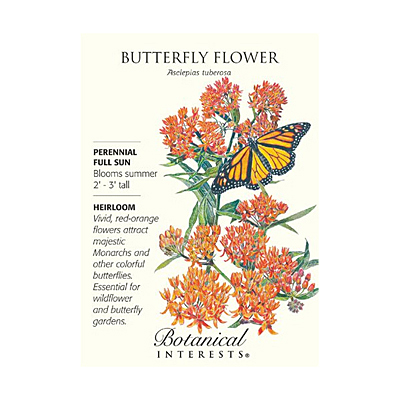 Seeds - BI Milkweed Butterfly Flower