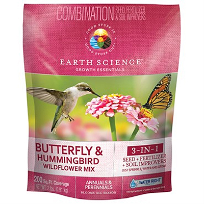 Earth Science Butterfly Hummingbird