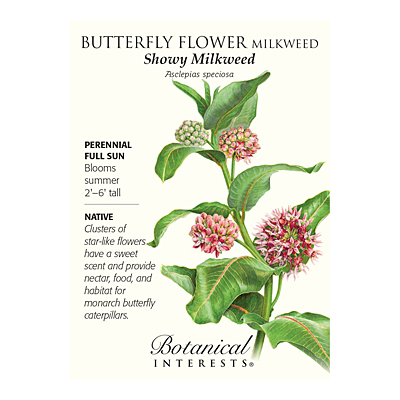 Seeds - BI Milkweed Showy