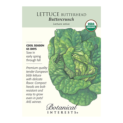 Seeds - BI Lettuce Butterhead Buttercrunch Org