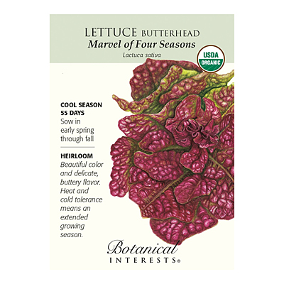 Seeds - BI Lettuce Butterhead Marvel Org