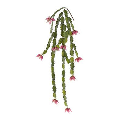 Blooming Cactus Hanging Spray - Boysenberry