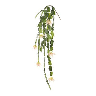 Blooming Cactus Hanging Spray - Cream/Peach
