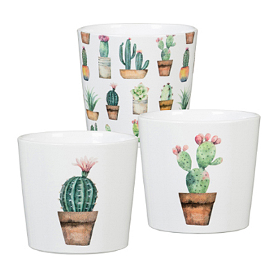Planter - Cactus Garden Assortment