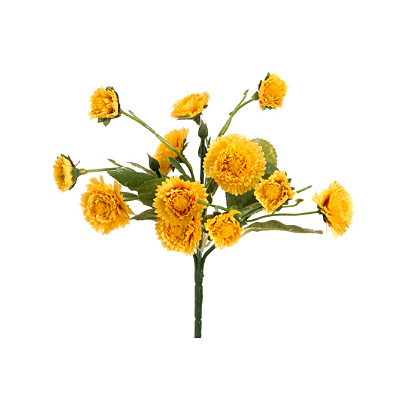 Calendula Bush - Yellow