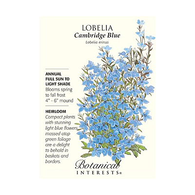 Seeds - BI Lobelia Cambridge Blue
