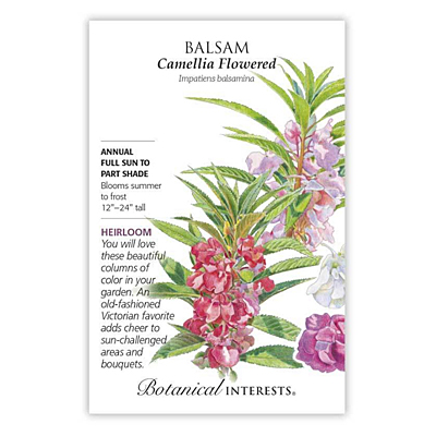 Seeds - BI Balsam Camellia Flowered