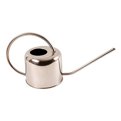 Watering Can - Modern Stainless Steel