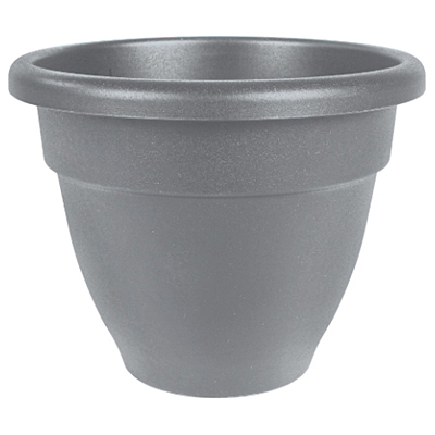 Caribbean Planter - Gray