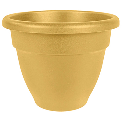 Caribbean Planter - Honey