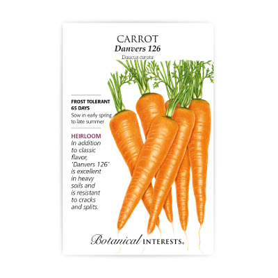 Seeds - BI Carrot Danvers