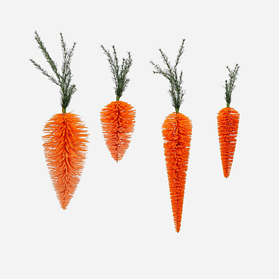 Carrot Hanging