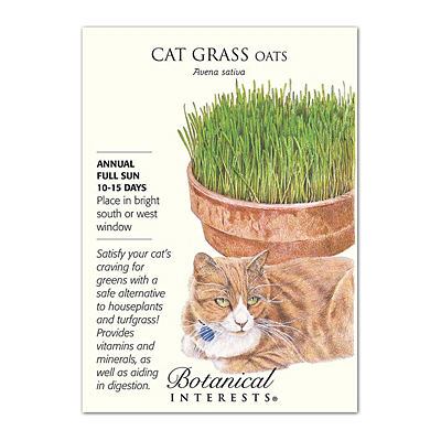 Seeds - BI Cat Grass