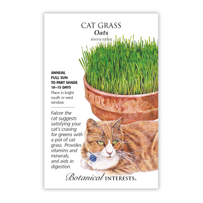 Seeds - BI Grass Cat Grass