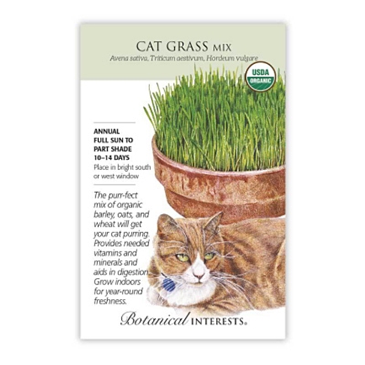 Seeds - BI Cat Grass Mix Org