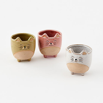 Cat Pot