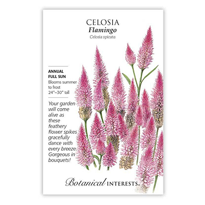 Seeds - BI Celosia Flamingo