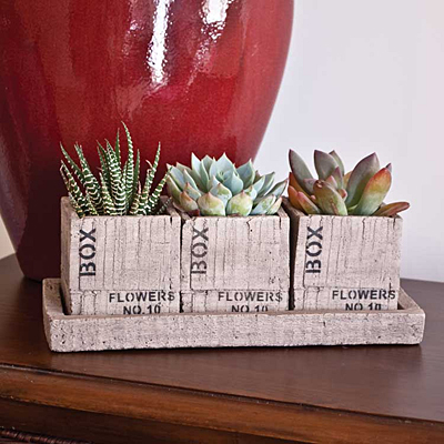 Cement Crate 3-Piece Planter with Tray