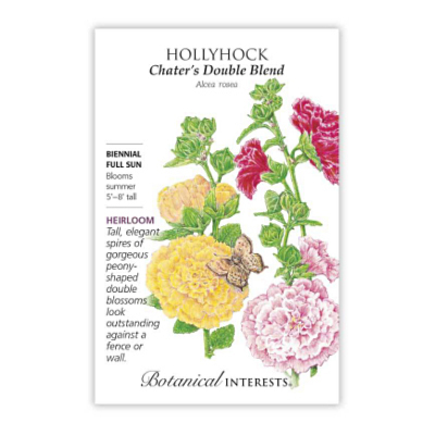 Seeds - BI Hollyhock Chater's Double Blend