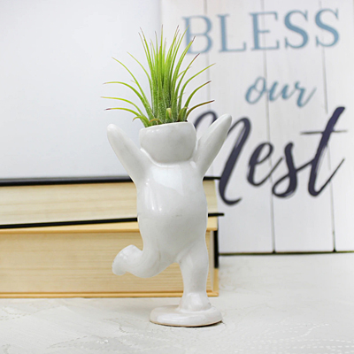 Air Plant Holder - Happy Cheering Person