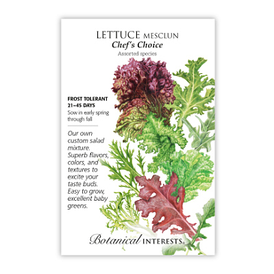 Seeds - BI Lettuce Mesclun Chef's Choice