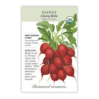 Seeds - BI Radish Cherry Belle Org