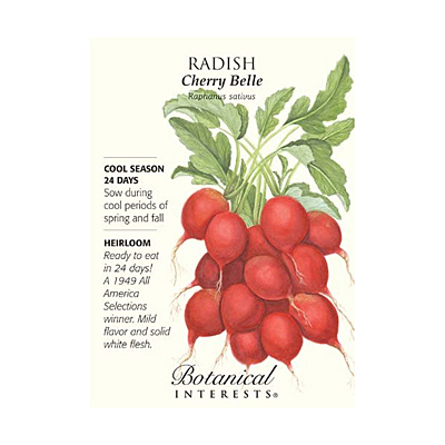 Seeds - BI Radish Cherry Belle