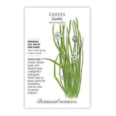 Seeds - BI Chives Chinese Garlic