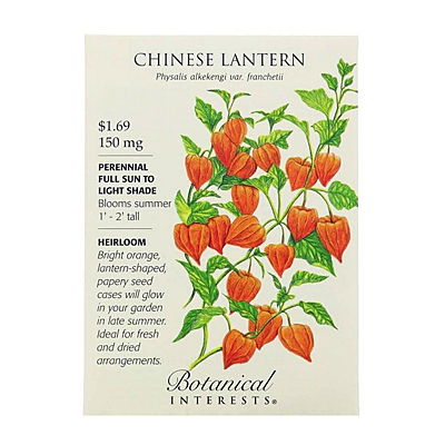 Seeds - BI Chinese Lantern