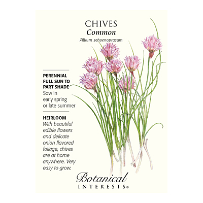 Seeds - BI Chives Common