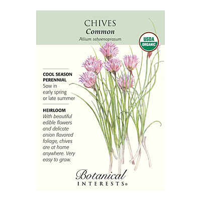 Seeds - BI Chives Common Org