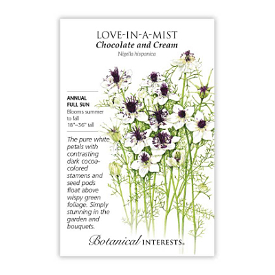 Seeds - BI Love-in-a-Mist Chocolate and Cream