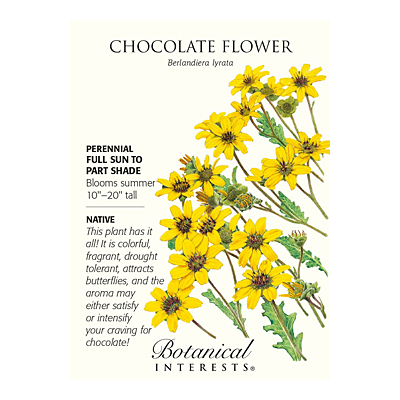 Seeds - BI Chocolate Flower