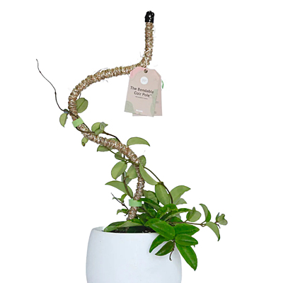 Bendable Coir Pole